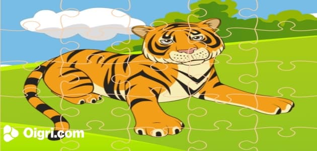El rompecabeza del tigre