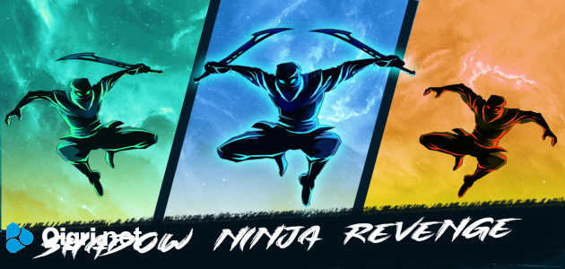 La venganza del ninja de las sombra
