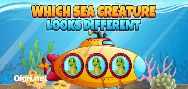 ¿Qué criatura marina tiene un aspecto diferente?